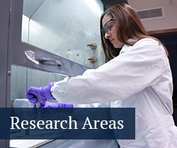 button: research areas