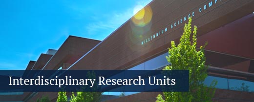 Button: interdisciplinary research units
